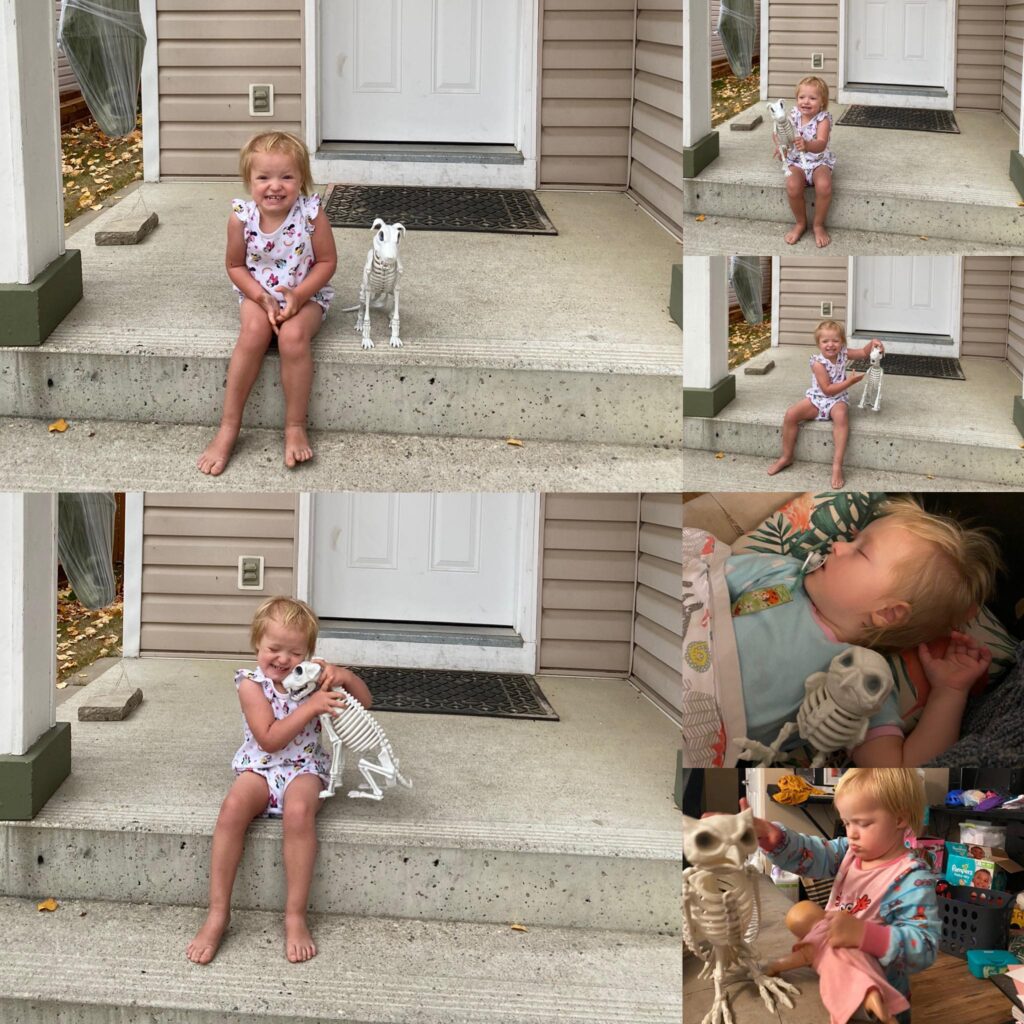 Kennedy playing with all her fake Halloween skeleton animals.