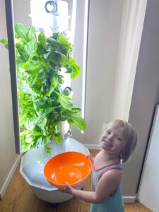 Our Tower Garden Home full of lettuce and Kennedy.