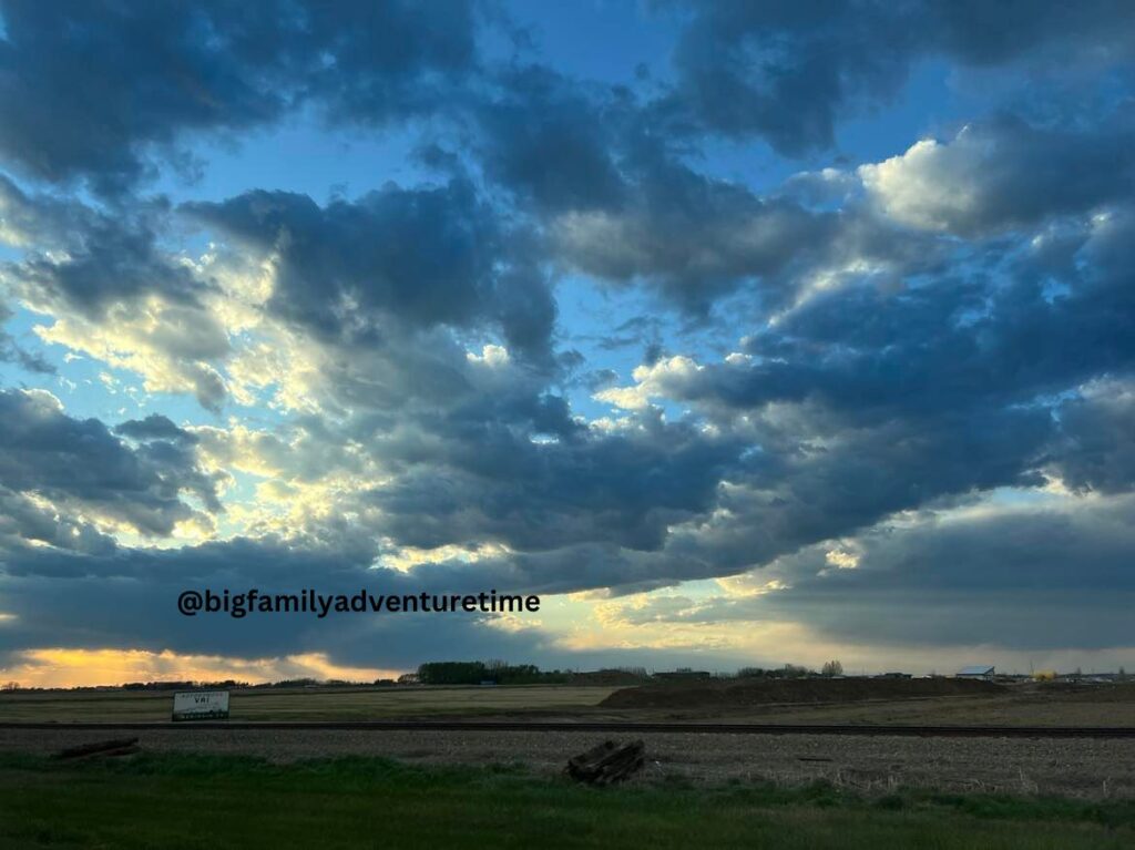 A view of the country fields. Bright blue clear skies.